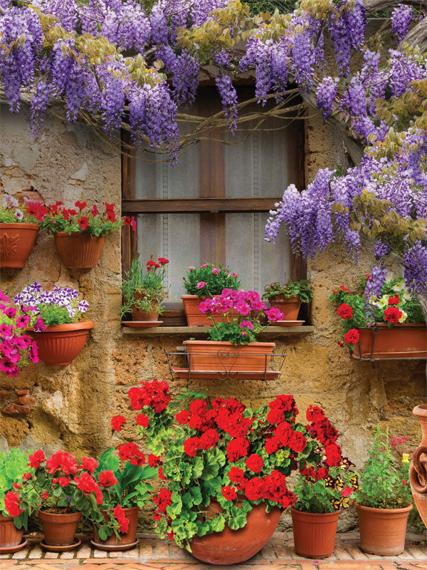 Rustic Garden Window Photography Backdrop - Photography backdrop of a rustic window surrounded by blooming flowers in terracotta pots and cascading wisteria.