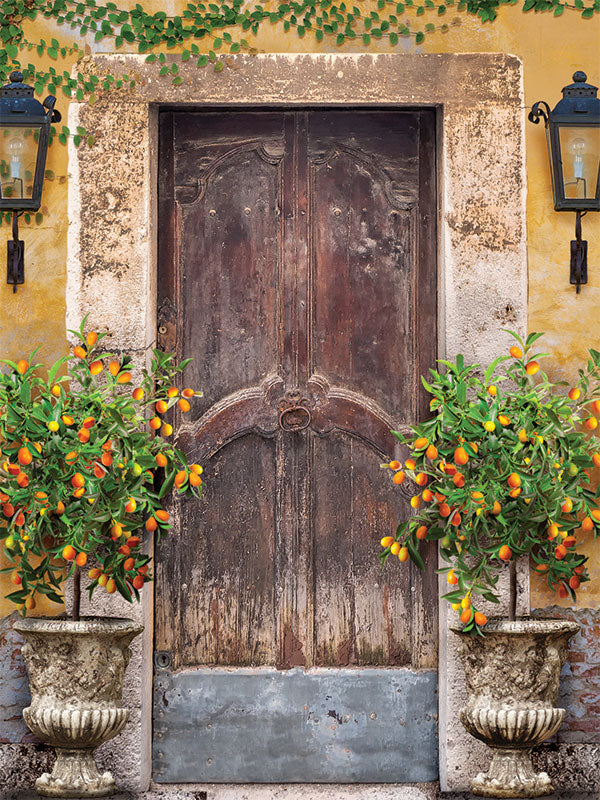 Rustic Mediterranean Doorway Photography Backdrop - Rustic Mediterranean doorway photography backdrop featuring a weathered wooden door, stone frame, potted orange trees, and creeping vine.