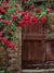 Rustic Rose-Covered Door Photography Backdrop - Rustic wooden door photography backdrop covered with vibrant red roses, perfect for romantic photoshoots.