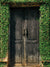 Rustic Wooden Door with Ivy Photography Backdrop - Rustic wooden door surrounded by ivy, perfect for outdoor and nature-themed photography backdrops.