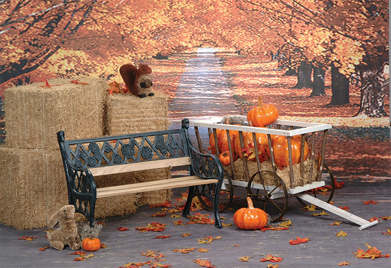 A scenic autumn backdrop with a winding road lined by vibrant golden and orange trees.