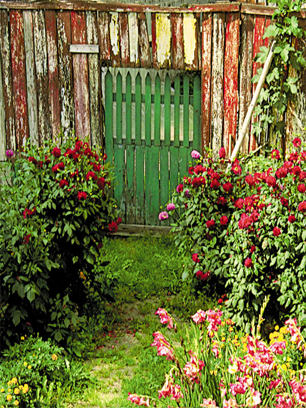 A charming photography backdrop featuring a vintage wooden garden gate framed by lush flowers.