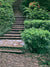 A rustic stone walkway surrounded by lush greenery, perfect for portrait and wedding photography.