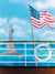 American flag and Statue of Liberty photography backdrop for professional use, ideal for patriotic-themed photoshoots.