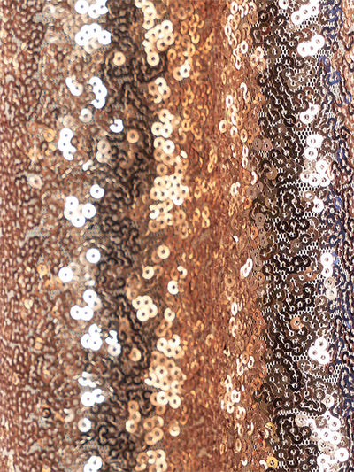 Shiny Sequin Photo Booth backdrop
