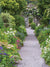 Secret Garden Path Photography Backdrop - Secret garden path photography backdrop with lush greenery, vibrant flowers, and a charming wrought-iron gate.