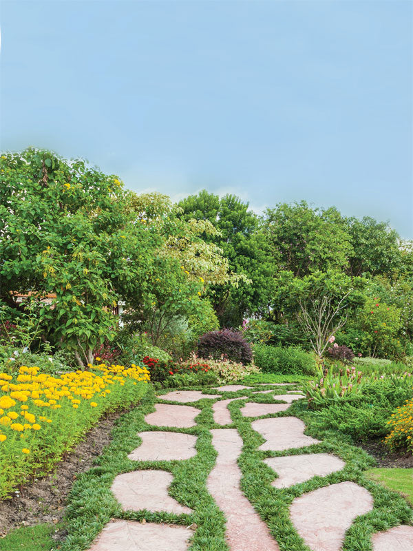 Secret Garden Stone Path Photography Backdrop - Photography backdrop featuring a stone path winding through a lush garden with vibrant flowers, perfect for outdoor-themed photoshoots.