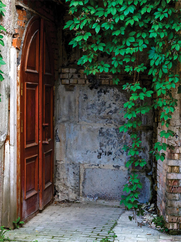 Secret Ivy Door Photography Backdrop - Photography backdrop featuring an old wooden door with creeping ivy and a rustic stone wall, perfect for fantasy-themed photoshoots.