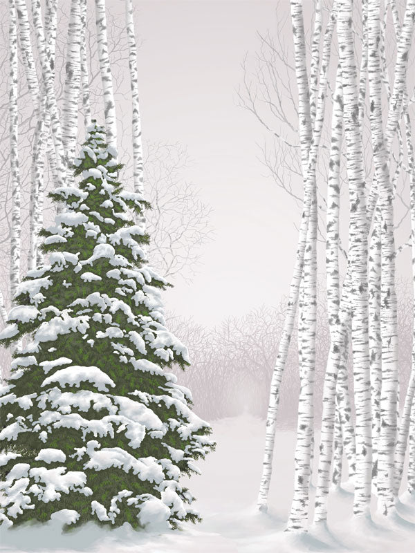 Serene winter forest scene with a snow-covered pine tree surrounded by birch trees; ideal for professional photoshoots.