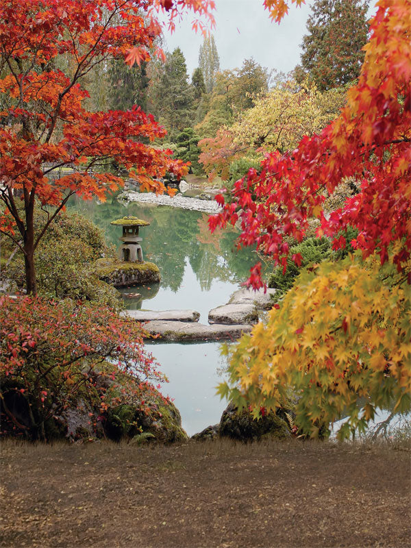 Autumn-colored trees surround a peaceful pond with a stone lantern.