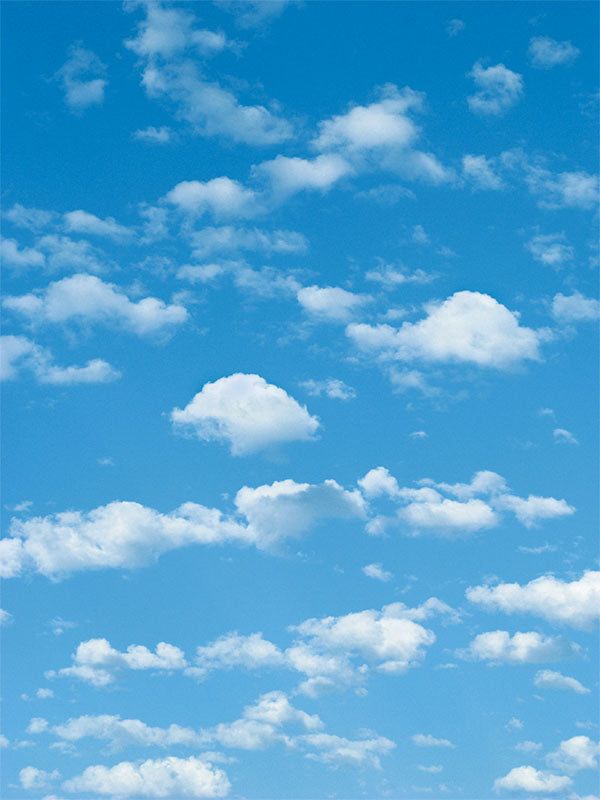 Sky Scape photography backdrop featuring a vibrant blue sky with soft, scattered clouds, ideal for light and airy portrait sessions.