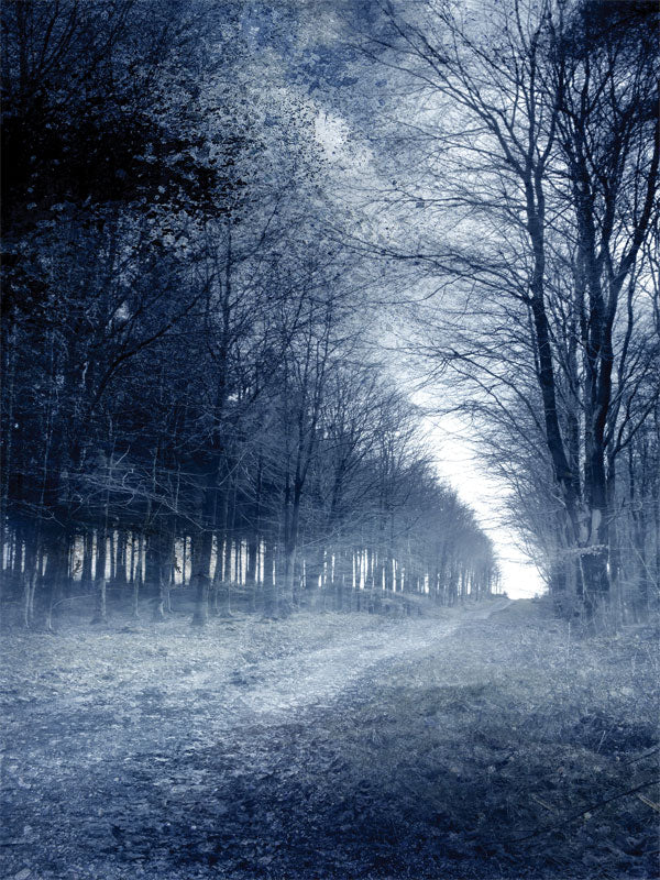 Sleepy Hollow Ethereal Winter Forest Photography Backdrop - Frosty winter forest photography backdrop featuring tall, leafless trees and a misty path, ideal for creating a serene, moody atmosphere.