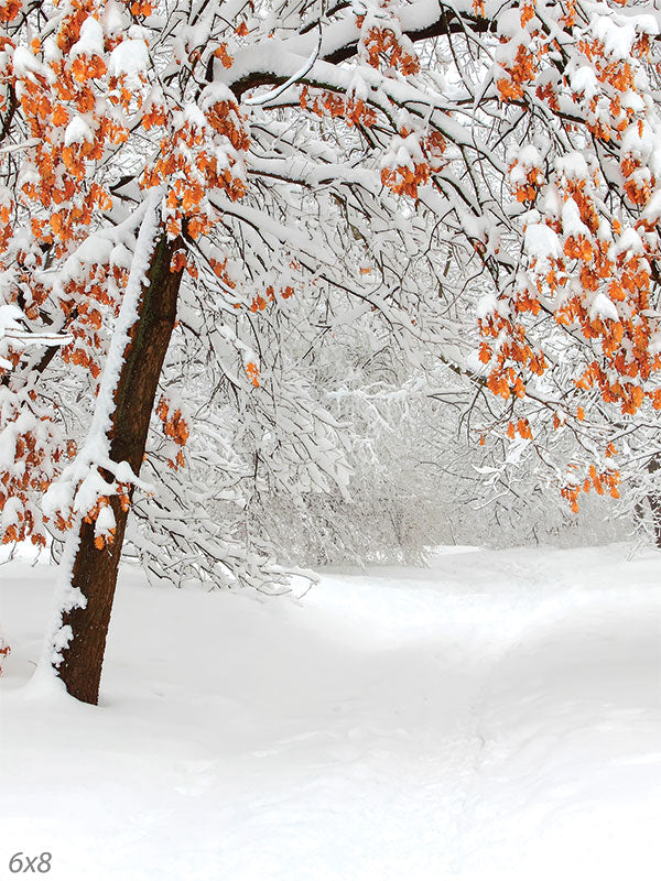 Snow-Covered Autumn Branches Photography Backdrop - Photography backdrop featuring snow-covered branches with orange autumn leaves.