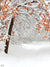 Snow-Covered Autumn Branches Photography Backdrop - Photography backdrop featuring snow-covered branches with orange autumn leaves.