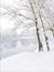 Snowy Riverbank Photography Backdrop - Snowy riverbank with trees and calm reflective water, perfect for winter photography backdrop.