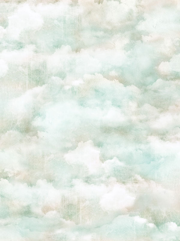 Soft Pastel Cloud Photography Backdrop - Dreamy pastel cloud photography backdrop, ideal for professional portraits and event shoots.