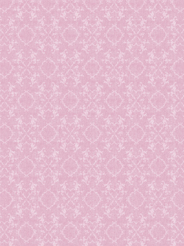 Soft pink lace pattern backdrop for professional photography, perfect for romantic portraits, baby photos, and special occasions.