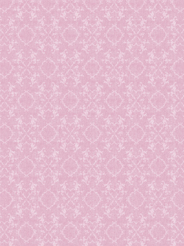 Soft pink lace pattern backdrop for professional photography, perfect for romantic portraits, baby photos, and special occasions.