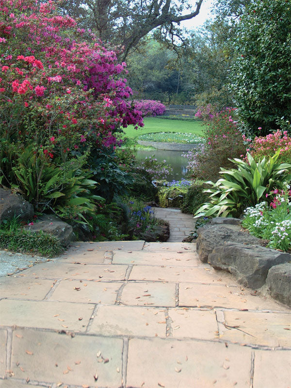 A serene photography backdrop featuring a picturesque stone pathway surrounded by lush greenery and vibrant pink azaleas.