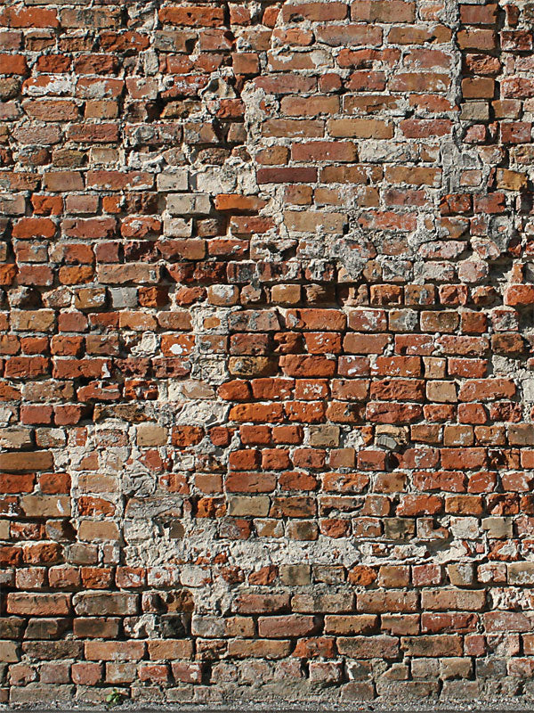 Distressed red and tan brick backdrop with aged mortar.