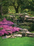 Lush garden with pink flowers, stone path, and trees surrounding a peaceful stream.