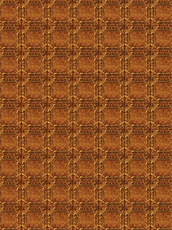 Elegant gold patterned backdrop perfect for senior portraits or formal dance photography