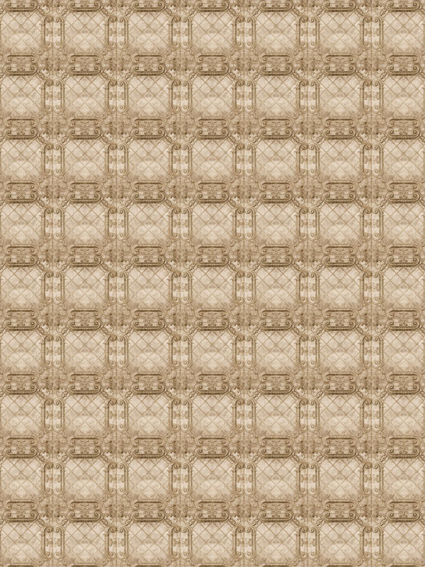 Elegant tan embossed pattern professional photography backdrop perfect for school portraits, senior sessions, and family photo shoots.