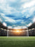 Stadium Soccer Goal Photography Backdrop - Photography backdrop of a soccer goal in a stadium at sunset, with dramatic clouds and bright stadium lights, perfect for sports-themed photoshoots.