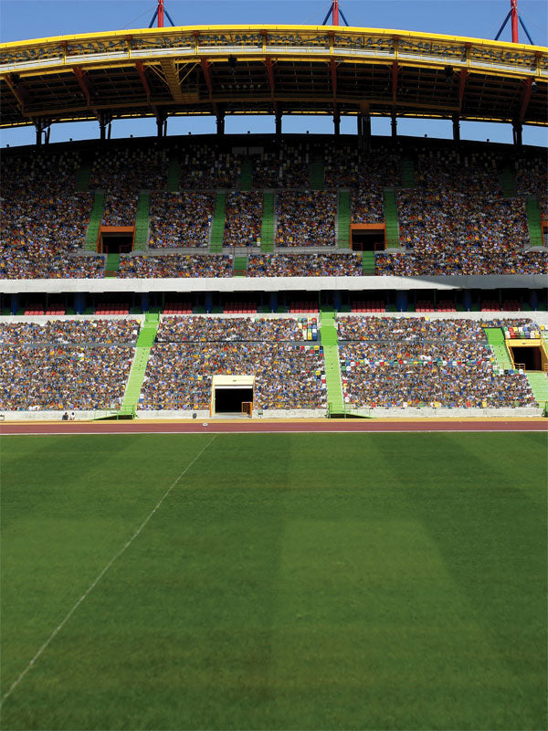 Realistic stadium backdrop with packed bleachers and bright green field.