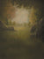 Hand-painted forest backdrop with open meadow, rustic stone walls, and soft tree light.