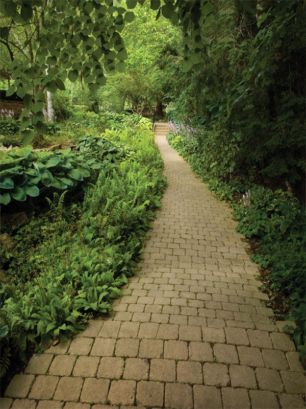 A peaceful garden photography backdrop featuring a cobblestone walkway lined with lush green foliage and overhanging leaves.