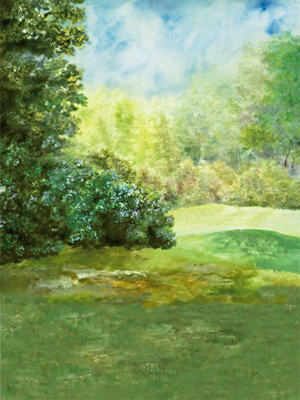A tranquil grassy landscape photography backdrop with soft trees, lush greenery, and a natural outdoor setting, perfect for portraits and lifestyle photography.