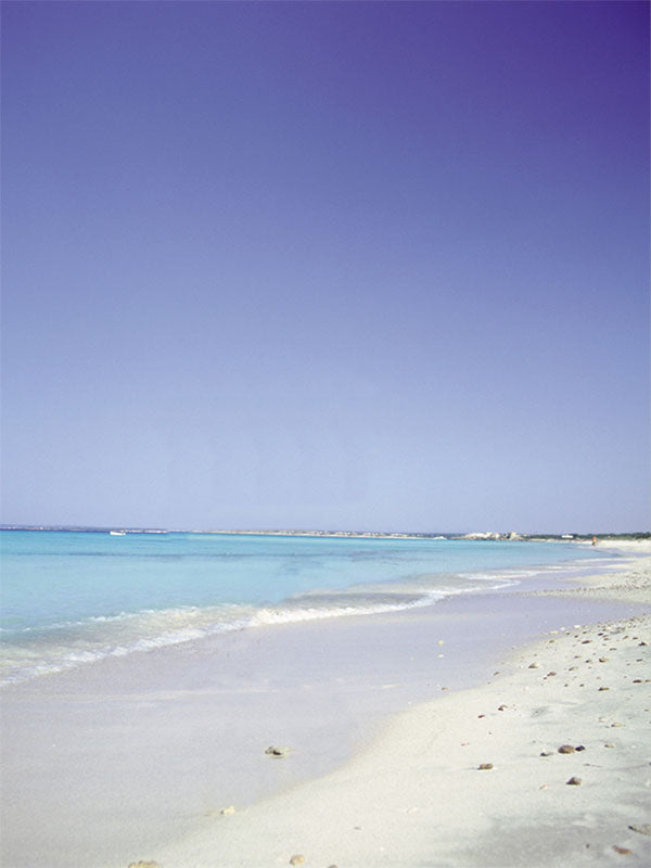 Sugar Sands beach photography backdrop with soft white sand, gentle ocean waves, and a tranquil pastel sky for serene portraits.