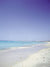 Sugar Sands beach photography backdrop with soft white sand, gentle ocean waves, and a tranquil pastel sky for serene portraits.