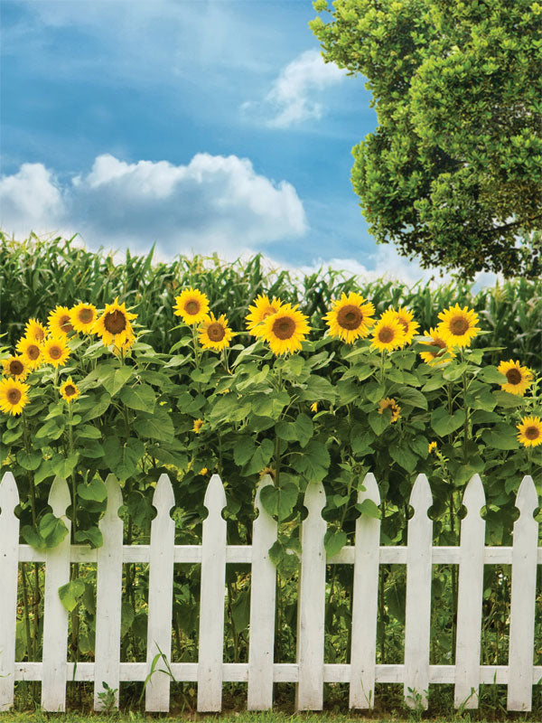 Sunflower Garden with White Picket Fence Photography Backdrop - Photography backdrop featuring sunflowers, a white picket fence, and a blue sky. Ideal for outdoor-themed photoshoots.