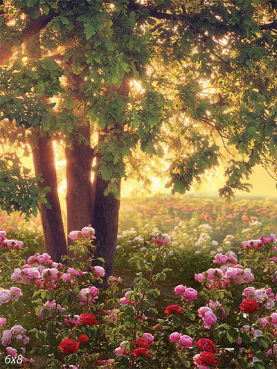 Sunlit Garden with Roses Photography Backdrop - Photography backdrop featuring a sunlit garden with vibrant roses, ideal for nature-themed photoshoots.