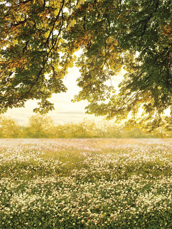 Sunlit Meadow Photography Backdrop - Sunlit meadow photography backdrop with wildflowers and tree branches, ideal for outdoor-themed and portrait photography, available in various sizes and materials.