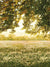 Sunlit Meadow Photography Backdrop - Sunlit meadow photography backdrop with wildflowers and tree branches, ideal for outdoor-themed and portrait photography, available in various sizes and materials.