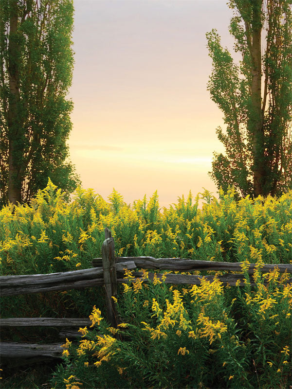 Sunlit Meadow Photography Backdrop - A photography backdrop depicting a sunlit meadow with a rustic wooden fence, lush greenery, yellow flowers, and a serene sunset.