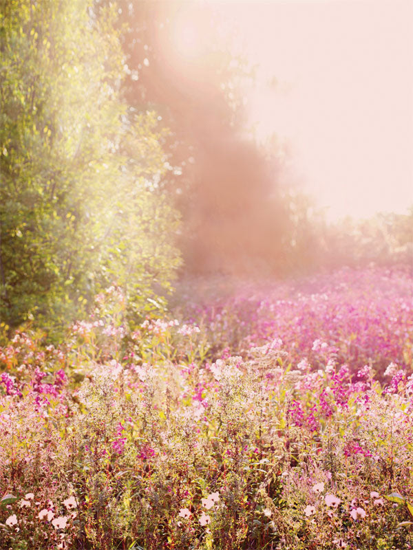 Sunlit Wildflower Meadow Photography Backdrop - Sunlit wildflower meadow photography backdrop with pink, purple, and green wildflowers under a golden sunlight glow, ideal for nature-inspired shoots.