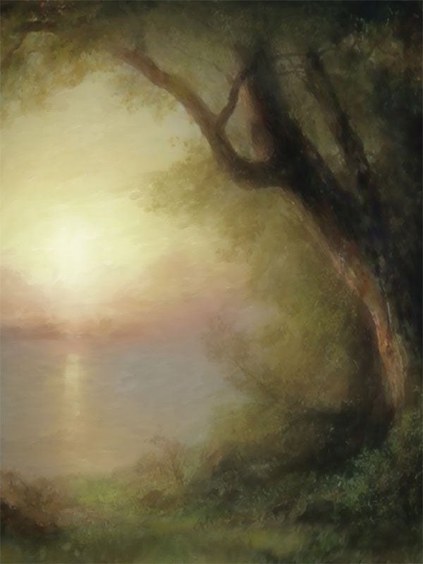 Golden sunlight over a tranquil lake framed by trees and soft foliage.