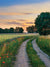 Sunset Country Path Photography Backdrop - Photography backdrop featuring a scenic country path with wildflowers, greenery, and a warm sunset sky, perfect for natural-themed photoshoots.