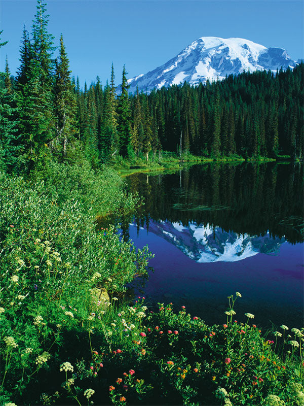 A breathtaking lake photography backdrop featuring a snow-capped mountain and lush greenery.