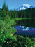 A breathtaking lake photography backdrop featuring a snow-capped mountain and lush greenery.