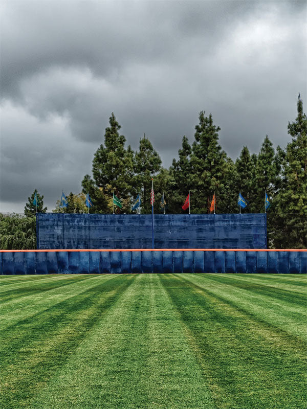 Titan Baseball Field Photo Backdrop - Baseball field with deep blue outfield wall, rich green grass, colorful flags, and an overcast sky, perfect for sports-themed photography.