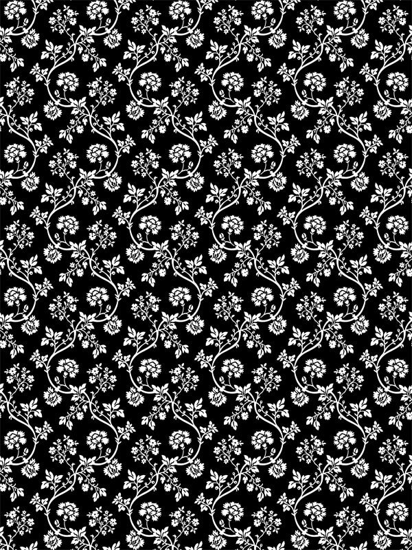 White vintage toile floral pattern on black background for elegant portraits.