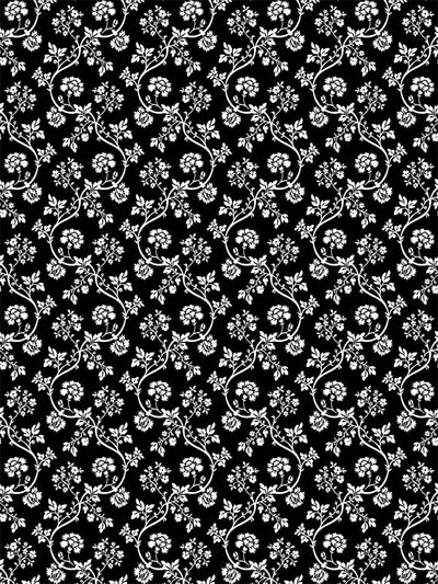 White vintage toile floral pattern on black background for elegant portraits.