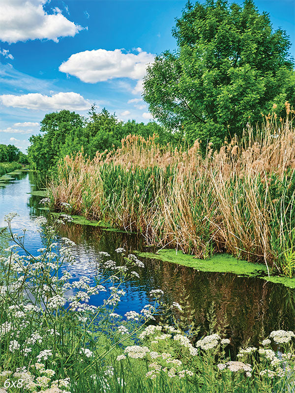 Tranquil Riverbank Photography Backdrop - Tranquil riverbank photography backdrop with lush greenery, river, and bright blue sky for natural-themed photoshoots.