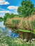 Tranquil Riverbank Photography Backdrop - Tranquil riverbank photography backdrop with lush greenery, river, and bright blue sky for natural-themed photoshoots.