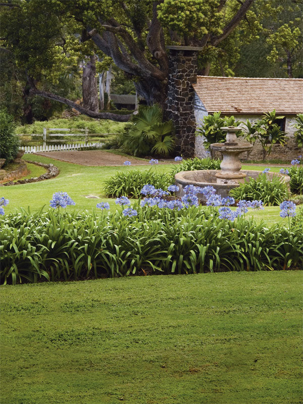 A lush photography backdrop showcasing a tropical garden with blooming agapanthus and a stone fountain centerpiece.